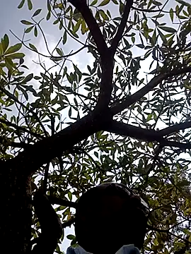 ipvk online show from 03.02.26