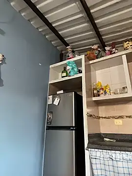 Snapshot of liahouses chatting on 11.14.25 liahouses online show from 11.14.25