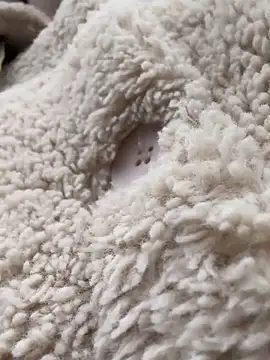 RonnieKiss online show from 10.24.25