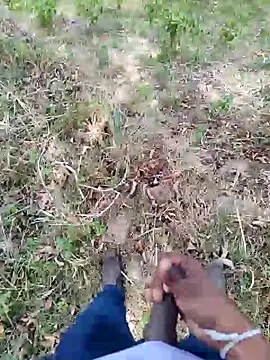 DICKLANKA online show from 09.23.25