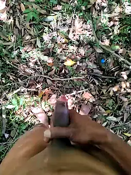 DICKLANKA online show from 04.19.26