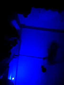 chunkyguy98 online show from 10.06.25