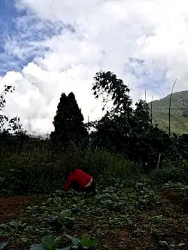 Snapshot of diamond-- chatting on 11.15.25 diamond-- online show from 11.15.25