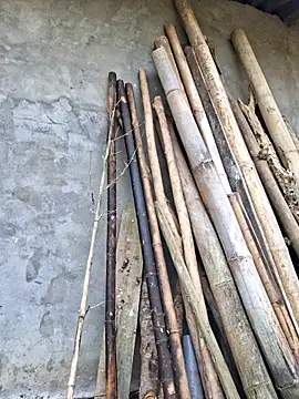 diamond-- online show from 04.17.26