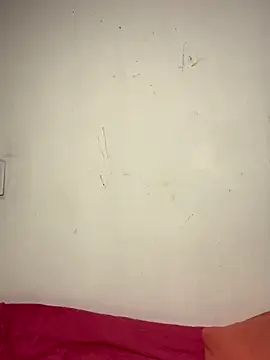 Bulma04 online show from 11.09.25