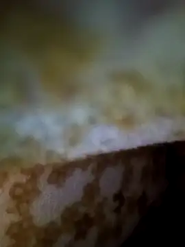 Snapshot of alone_boy802 chatting on 11.09.25 alone boy802 online show from 11.09.25