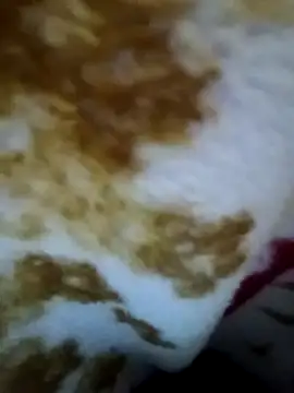 Snapshot of alone_boy802 chatting on 11.09.25 alone boy802 online show from 11.09.25