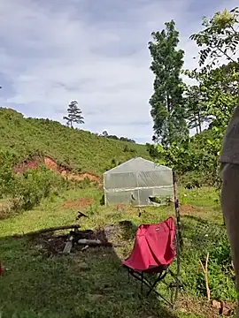 Helen-Tran online show from 10.24.25