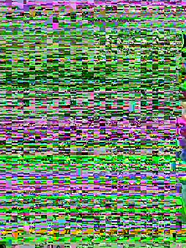 Snapshot of aoyo66 chatting on 11.05.25 aoyo66 online show from 11.05.25