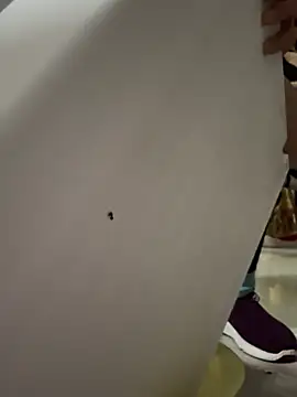 aoyo66 online show from 04.03.26