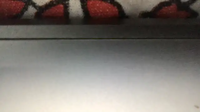 paula19800 online show from 11.25.25