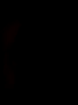 redrose520 online show from 11.12.25