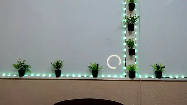 Hoot Dude  online show from 11.19.25