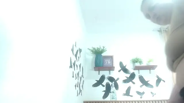 SweetRouse   online show from 11.19.25