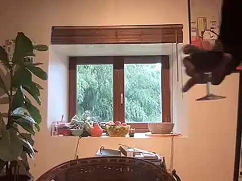 chtentation online show from 02.14.26