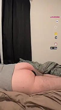 bear8t online show from 11.11.25