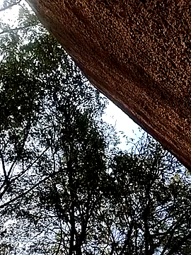 Rs sonam online show from 12.15.25