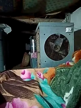 Lona2525 online show from 02.16.26