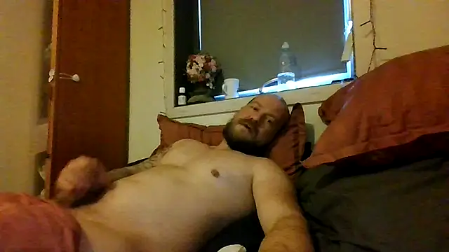 Real viking online show from 12.02.25