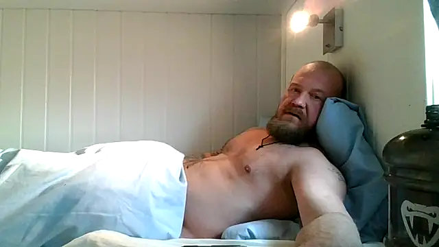 Real viking online show from 02.08.26