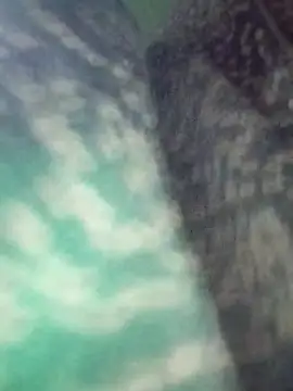 Na shreya online show from 03.29.26