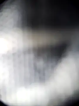 Snapshot of Blanquitakchera chatting on 12.21.25 Blanquitakchera online show from 12.21.25