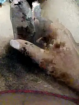 nagepalli online show from 11.01.25