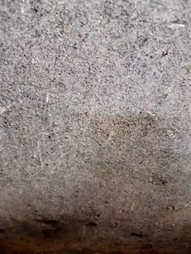 nagepalli online show from 11.14.25