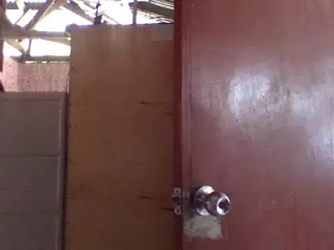 milagrose rose online show from 11.21.25