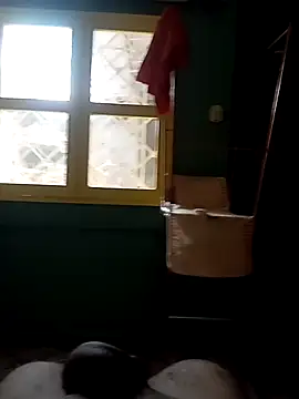 Snapshot of Roberto27052 chatting on 10.29.25 Roberto27052 online show from 10.29.25