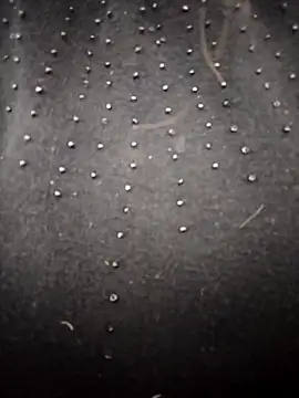 PEEHU-50 online show from 03.26.26