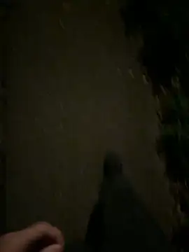 ncjuice  online show from 10.31.25