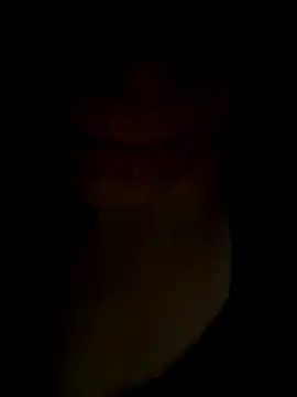 pleasedontpressaredburton online show from 11.14.25