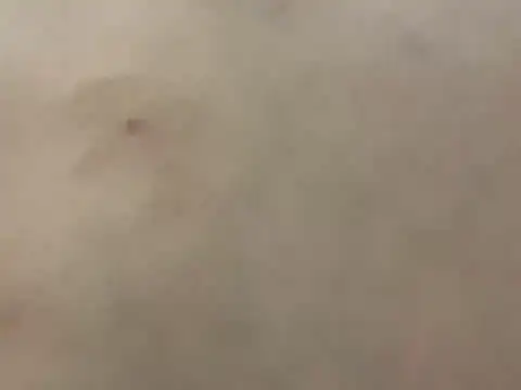 pleasedontpressaredburton online show from 02.28.26