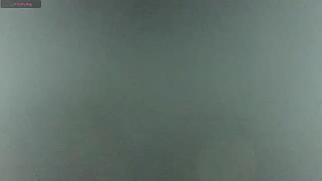 Im david02 online show from 04.20.26