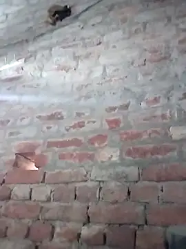 Rani 089 online show from 10.06.25