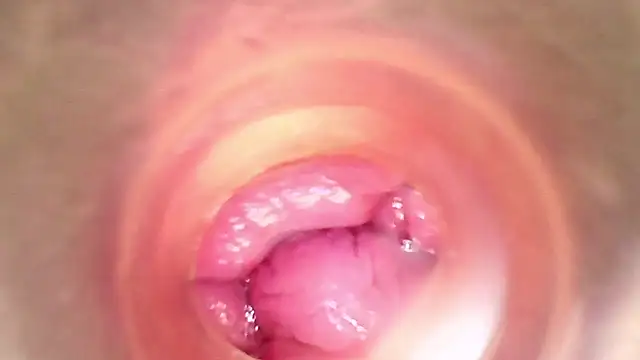 shannon kinne  online show from 03.29.26