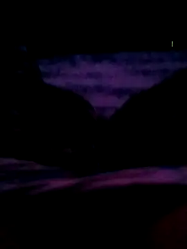 veintitres23 online show from 11.11.25