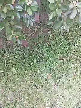 Merlin2310 online show from 02.09.26