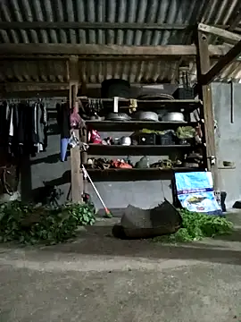 jerry-xx online show from 04.19.26