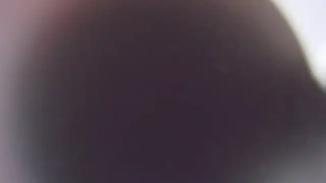 Stefano Calle online show from 12.03.25