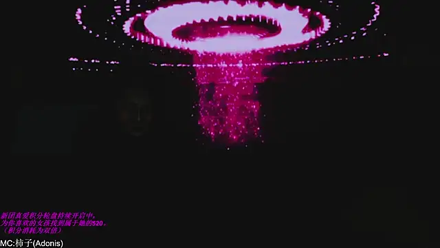 World-flower online show from 11.14.25