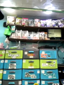 Lucy 699 online show from 11.16.25