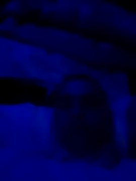 Snapshot of sexdol2 chatting on 03.22.26 sexdol2 online show from 03.22.26