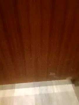 leeya14 online show from 10.11.25