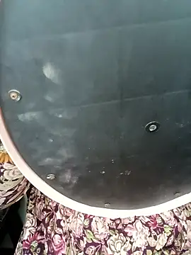 Marathi gavtami online show from 01.08.26