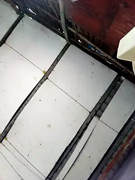 Cherry pusy99 online show from 10.27.25