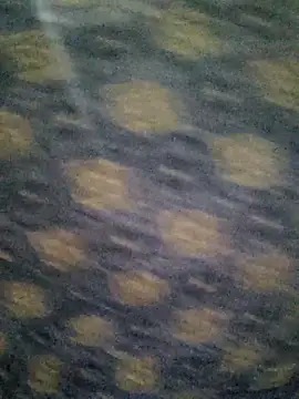 Tanha18 online show from 12.05.25