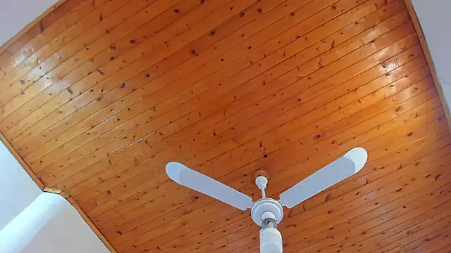 denisse khan online show from 10.17.25