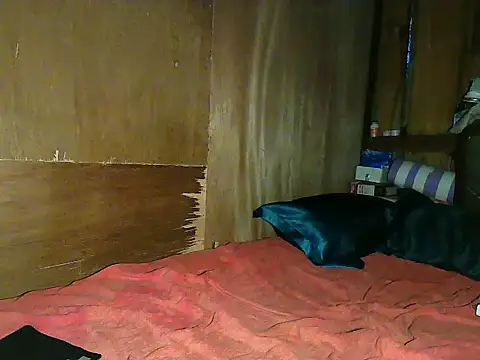 wildcat30 online show from 11.01.25